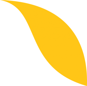 logo nature